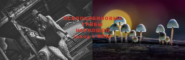 экстази Корсаков