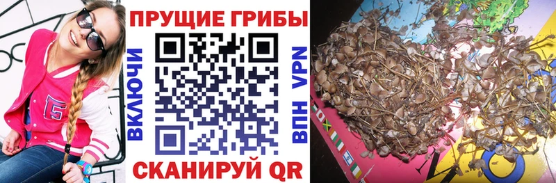Купить  Вязьма  Псилоцибиновые грибы мухоморы 